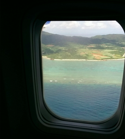 飛行機からの海